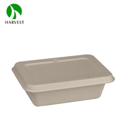 China 800ml Eco Friendly Biodegradable Compostable Pulp Food Rectangular Disposable Box for sale