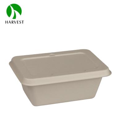 China 1000ml Biodegradable Compostable Rectangular Disposable Pulp Food Boxes With Lid for sale