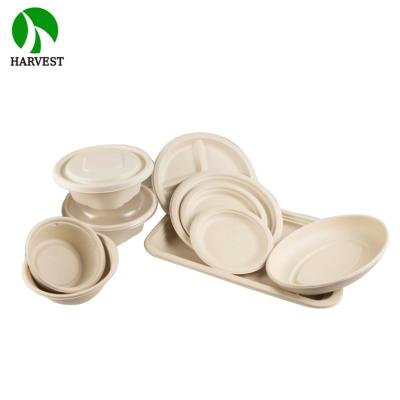 China Eco Friendly Biodegradable Bagasse Dish Biodegradable Sugar Cane Disposable Dishes for sale