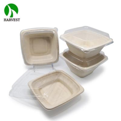 China 32Oz 24Oz Disposable Disposable Bamboo Pulp Takeout Food Container for sale