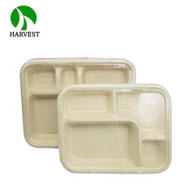 China Compostable Fiber Disposable Pulp Take Away Disposable Biodegradable Lunch Box for sale