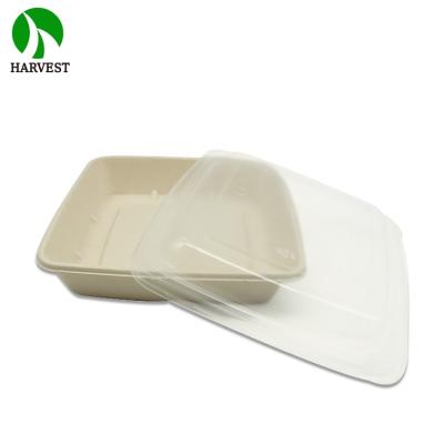 China Pulp Food Container Compartment Compostable Biodegradable Bamboo Disposable Tray for sale