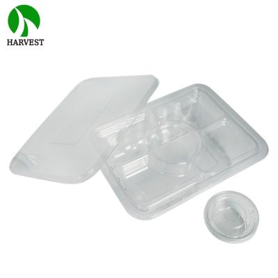 China Transparent Salad Eco Rectangle PET Salad Container With Plastic Food Tray for sale