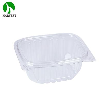 China Eco - Friendly Durability Bread Clamshell Packages Of Various Food Sizes for sale