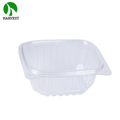 China Disposable Hinged Lid Fruit Pet Container Disposable Fresh Cut Plastic Box for sale