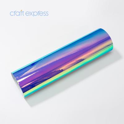 China Bestsub's Other Wholesale 30.5cm*25m Rainbow Color Roll Craft Heat Transfer Adhesive Vinyl Film for sale