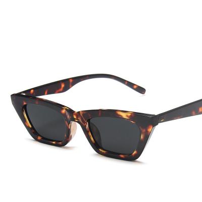 China Central Institute of Statistics 2022 Stree Fashion Sunglasses Small Glasses 88818 Cat Eyes Sunglasses Metal Hinge Cat Eye Sun Sight for sale