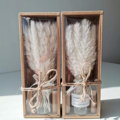 China 2021 Natural Flowers Pampas Grass Best Gift White Dried Popular Preserved Silver Ornaments Decoration Dried Pampas Grass For Vase for sale