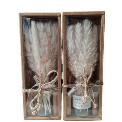 China Natural INS Hot Selling Decorative Touch Flowers Dried Flowers High Quality Small Pampas Grass With Glass Vase for sale