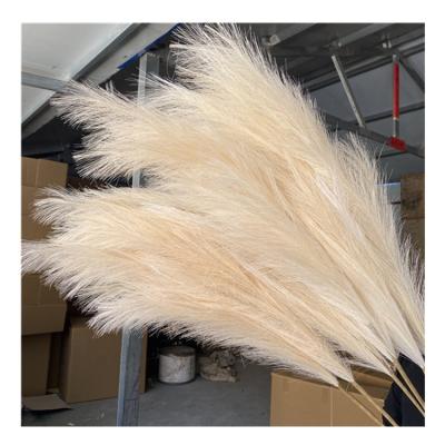 China Hot Selling Artificial Pampas Grass Artificial Pampas Grass Customized Beige Color Faux Pampas For Decoration for sale