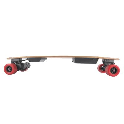 China Most popular remote control strong electric skateboard kit power longboard electric skateboard for sale