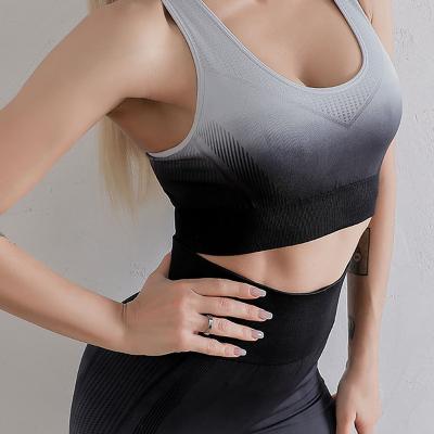 China Quick-drying Breathable Elastic Seamless Bra Women's Sports Bra Sports Fitness Yoga Running Underwear for sale