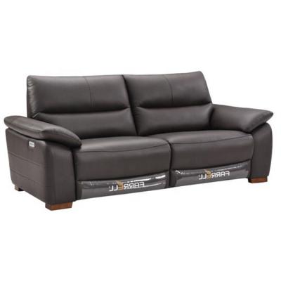 China The Other European Luxury Living Room Sofasold Sofabed Sofa Reclinable Electric Leather Couch for sale