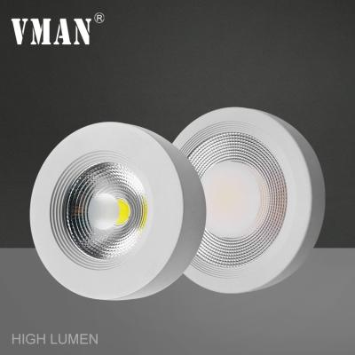 China New Product 30w 40w Contemporary Anti-glare Indoor Supermarket Office Commercial COB Outdoor Mounted LED Downlight for sale