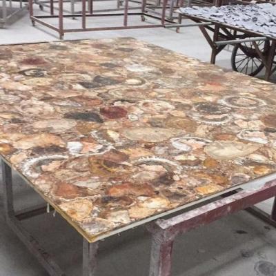 China Fossil Stone Petrified Wooden Slabs Of Semi Precious Tile Stone Slabs for sale