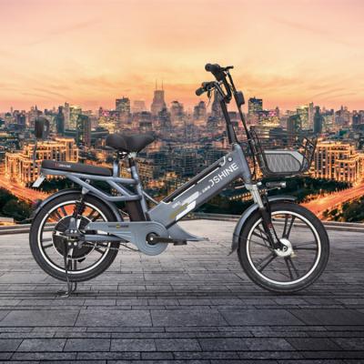 China China Manufacturer Professional Lithium Ion Electric Bicycle 18