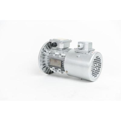 China Ms. Aluminum Body Three Phase Waterproof Promotional High Quality Lightweight AC Motors for sale