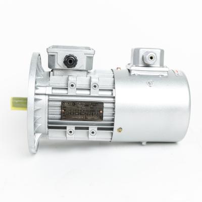 China Waterproof Three Phase Three Phase Brushless Y2 Series Induction AC Motor for sale