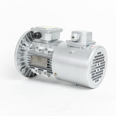 China Waterproof 14 years brand, Chinese manufacturer, specializing in the production of asynchronous motor for sale