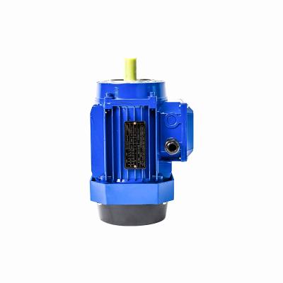 China drip-proof three-phase asynchronous motor manufacturer has quality guarantee and provides 24-hour after-sales service for sale