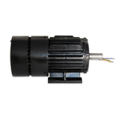 中国 1500 - 3000r/M Rare Earth Permanent Magnet Motor For Industrial 販売のため