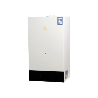 China Hotel China Professional Supplier Wall Mounted Gas Water Heater Boiler Instant Tankless Gas Boiler for sale