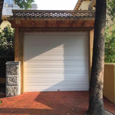 China High Quality Aluminum Roller Shutter Rolling Door And Window With Somfy Tubular Motor for sale