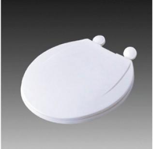 China Bidets Electronic Toilet Seat Cover for sale