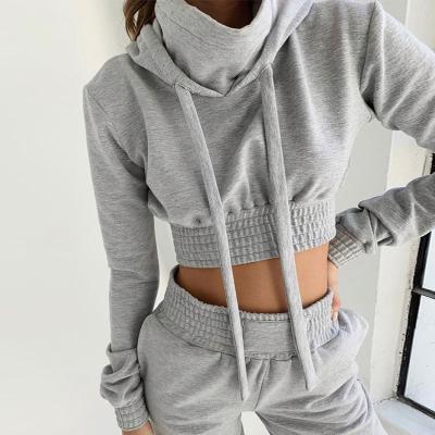 China 2021 Autumn Women's Fashion Anti-static Two-Piece Set Clothing Ladies Gray Casual Crop And Pants for sale