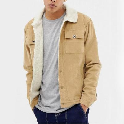 China Borg Sustainable Collar Beige Mens Jeans Jacket Sherpa Fur Lined Corduroy Mens Winter Jacket for sale