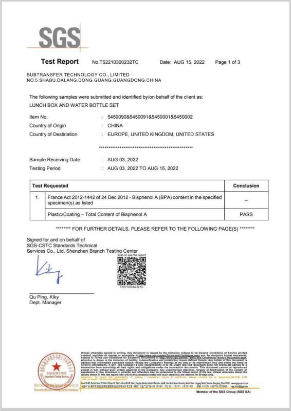  - Subtransfer Technology Co., Limited