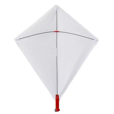 China Customized Photo Printing Sublimation Blank White Polyester Kite for sale