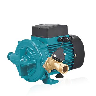 China Family Houses Best Price Automatic Water Circulation Pump for sale