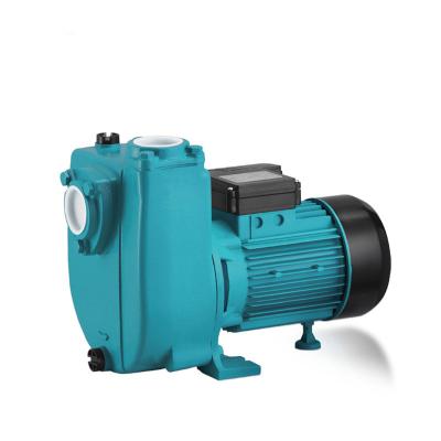 China Single family homes bomba centrifuga agricultural water pump for field irrigation for sale