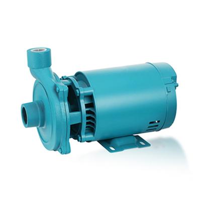 China Family Houses Garden Farm Irrigation 1.1kw 1.5kw 2hp Centrifugal Water Pump for sale