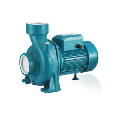 China Irrigation and agriculture extensively use electric garden agricultural water pump for irrigation for sale