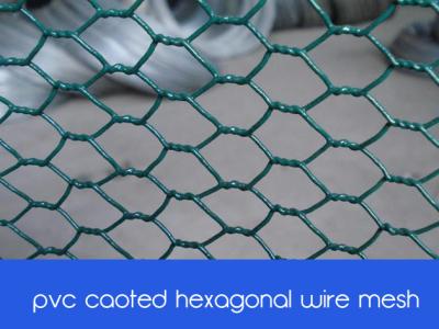 China pvc coated hexagonal wire mesh/chicken wire mesh(factory price) for sale