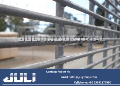 China galvanized high security 358 welded mesh fencing, 358 welded mesh fence for sale