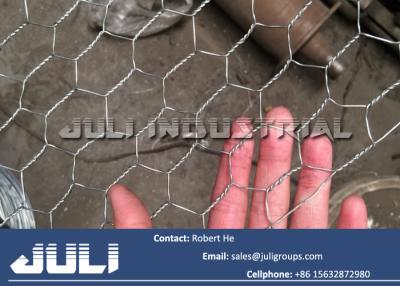 China hot dipped galvanized hexagonal wire netting for sale