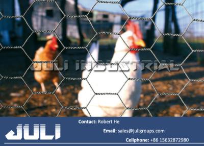 China hexagonal poultry wire mesh fencing, chicken wire netting for sale