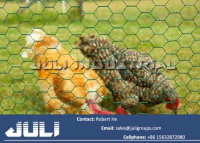 China pvc coated chicken wire mesh, pvc coated hexagonal wire netting for sale