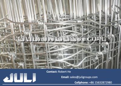 China hinge joint field fencing, hinge joint livestock fencing for sale