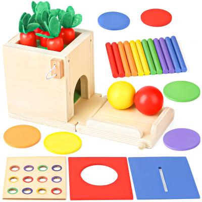 China Eductional Preschool Toys Montessori Toy 2 Year Old, Wooden Toy For 1 Year Old Carrot Baby 5-in-1 Plug Game Matching Game Gift Girl Boy 1 2 3 Year Old for sale