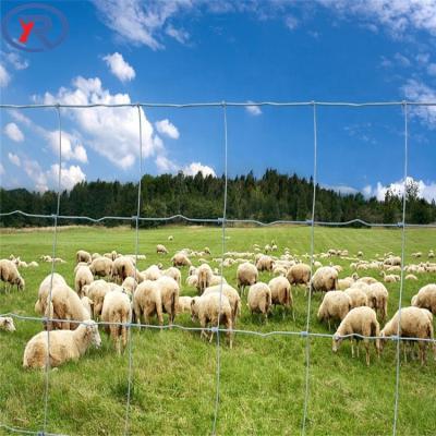 China Easily Collected Galvanized Wire Mesh Fence For Cattle Sheep Hinge Joint Field Fence for sale