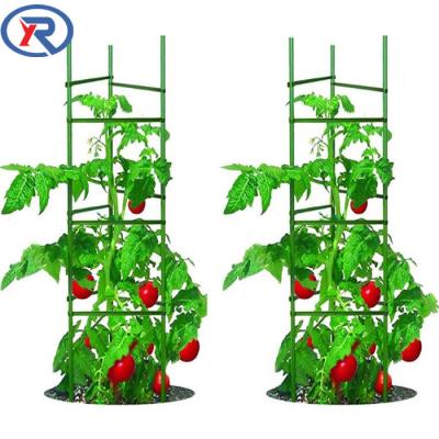 China Waterproof And Stable Tomato Trellis Garden Tomato Cage Connectors 11mm Plant Stake Arms for sale