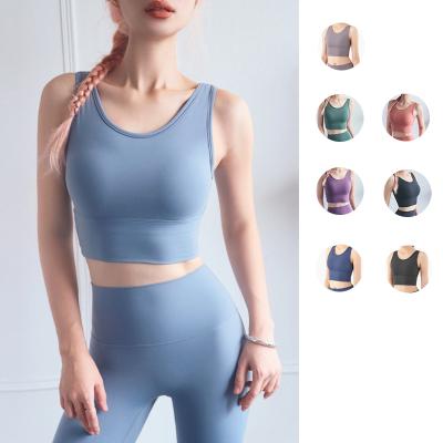 China Breathable Lightweight Seamless Fitness No Ring Plus Size Yoga Sport Bra Steel Top for sale