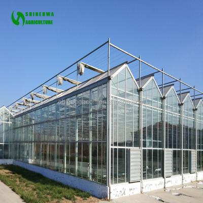 China High Efficient Commercial Greenhouse Venlo Type Glass Greenhouse With Hydroponic System For Tomato for sale