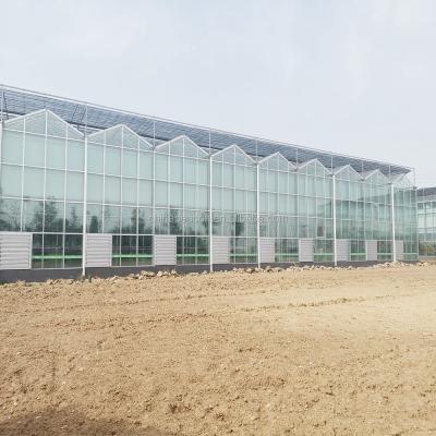 China Vegetable Glass Greenhouse Frame Greenhouse Insulated Glass Panels , Aluminum Agricultural Large Commercial Glass Greenhouse for sale