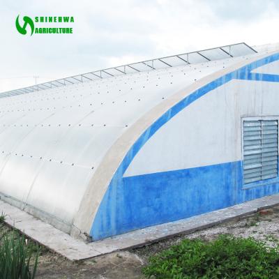 China Mini Plastic Film Steel Pipe Sunlight Greenhouse China Tomato Film Greenhouse Steel Pipe Tunnel Greenhouse For Sale for sale