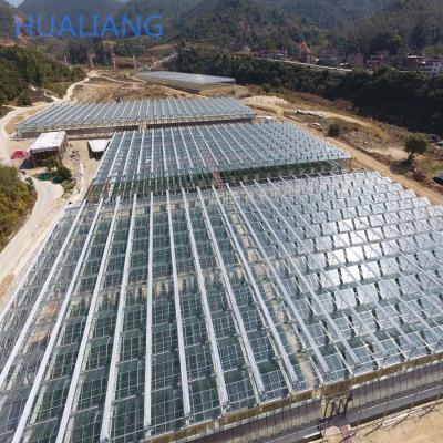 China Solar Agricultural Greenhouse / Glass Solar Panel Greenhouse Structure Greenhouse With Solar Panel for sale